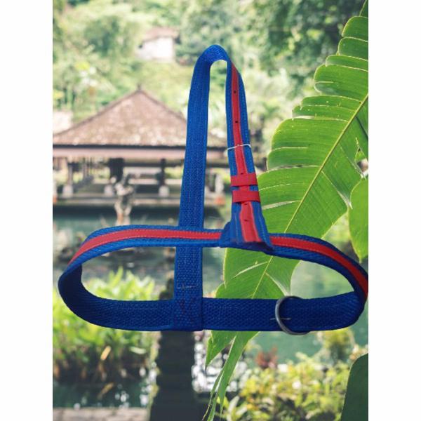 Gambar BRANGUS SAPI HEAD HALTER / IKAT KEPALA SAPI. BRANGOS PRODUK ORIGINAL - BIRU MERAH, M dari maulidiyah,sumenep undefined Tokopedia