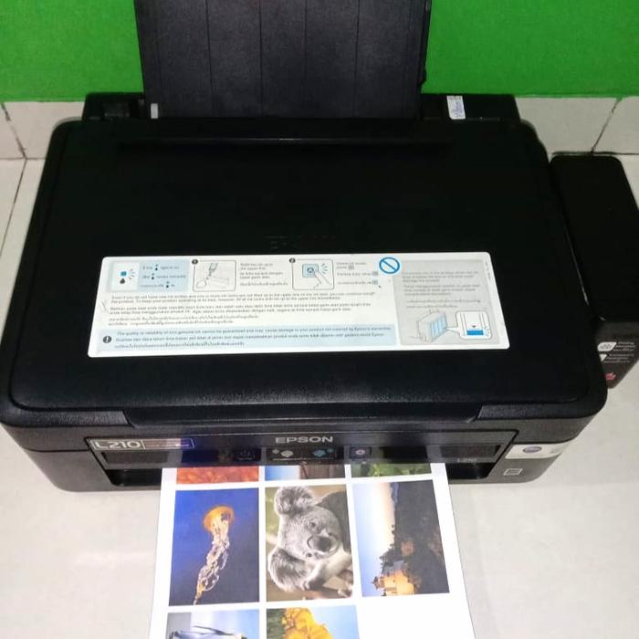 Gambar Printer Epson L210 print scan copy dari destishop. undefined Tokopedia