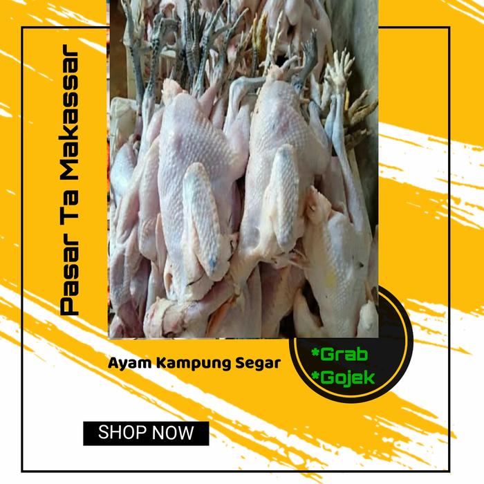 Gambar Ayam Kampung Per Ekor / Pasar Ta Makassar dari Pasar Ta Makassar undefined Tokopedia