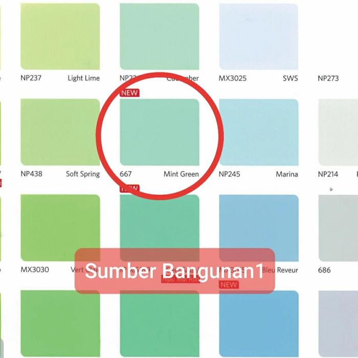 Gambar Vinilex Pro 1000 4.5 kg 1 gallon Warna cat dinding tembok nippon paint - 667 Mint Green dari Sumber.bangunan1 undefined Tokopedia