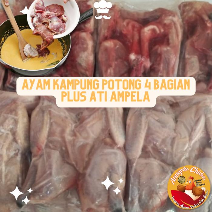 Gambar Ayam Kampung Potong 4 Bagian Fresh Frozen 700 Gram dari Anugrah Chicken undefined Tokopedia