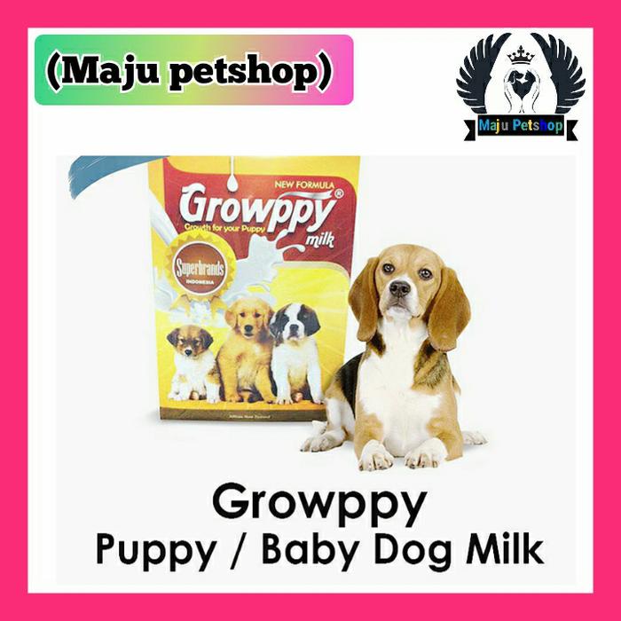 Gambar susu Growppy Milk Dog Puppy 1 box (isi 10 Sachet) - Susu anjing anak dari Maju Petshop undefined Tokopedia