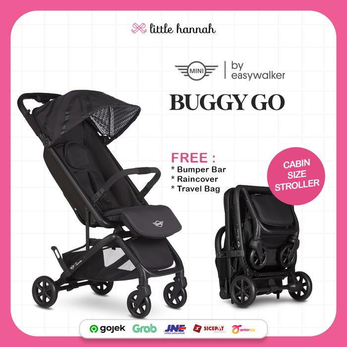 cabin approved buggy