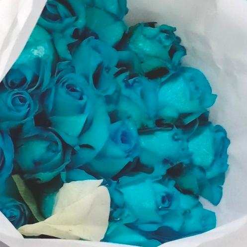 Gambar Bunga Mawar Segar Setara Import || 20 tangkai || Bunga mawar || segar - Biru dari Aurel Florist undefined Tokopedia
