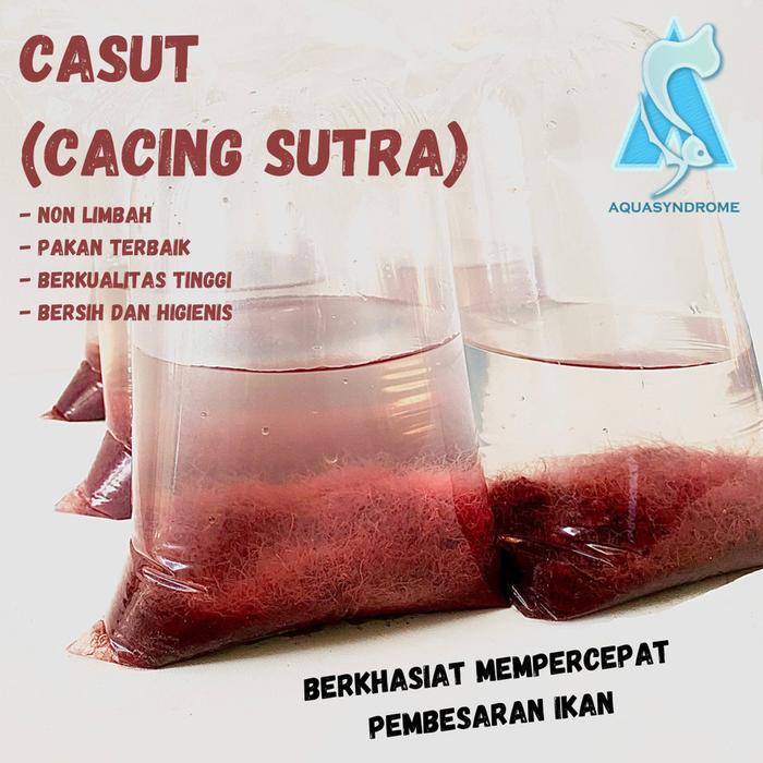Gambar Cacing Sutra Hidup Merah Berkualitas Pakan Ikan Cupang, Guppy, Tetra - Casut dari Kiddies World undefined Tokopedia