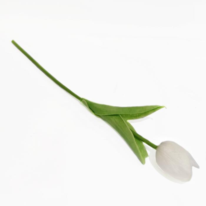 Gambar Bunga Artificial Garden Tulip 1 Tangkai AF65 Dekorasi Rumah Kantor - Putih dari Baswara undefined Tokopedia