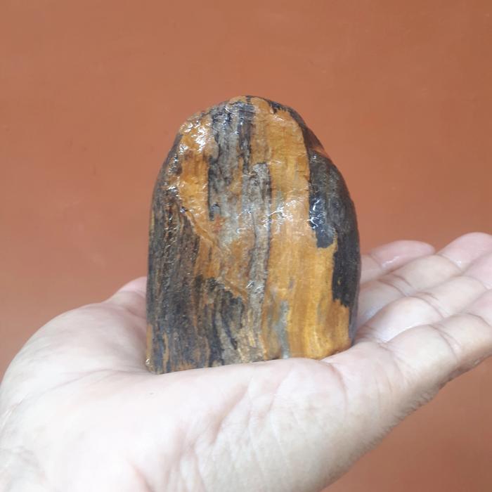 Gambar Biseki Suiseki Batu fosil kayu mengkristal, tanpa poles/treatment. dari Pepakmakmur undefined Tokopedia