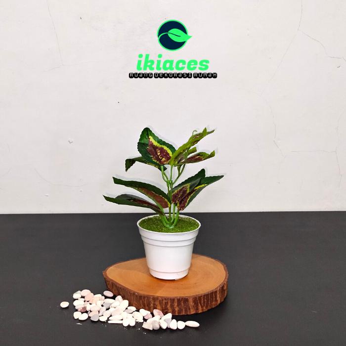 Gambar BUNGA POT HIAS DAUN ARTIFICIAL BUNGA PLASTIK TANAMAN HIAS HOME DECOR - HXY dari ikiaces undefined Tokopedia
