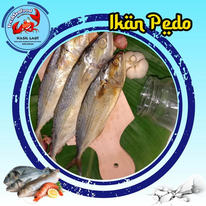 pedo Jual IKAN PEDO ASIN - 1 kg - Kota Surabaya - Freshseafoodsurabaya. |  Tokopedia