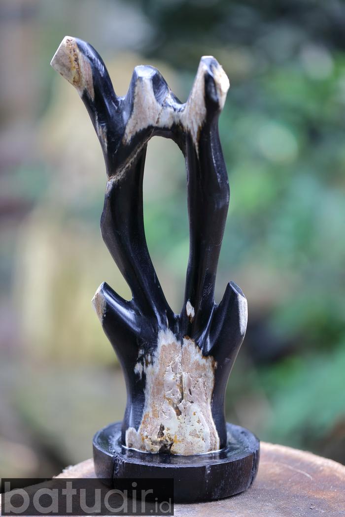 Gambar Petrified Wood; Fosil Porselen; Fosil Kayu Sempur "Trophy II" dari Batu Air ID_Shop undefined Tokopedia