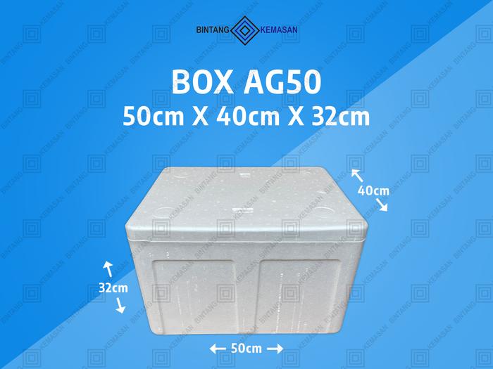 Gambar Box Styrofoam Besar Box Sterofoam Besar Box Packing BARU - AG50 dari Sinar Bintang Kemasan undefined Tokopedia