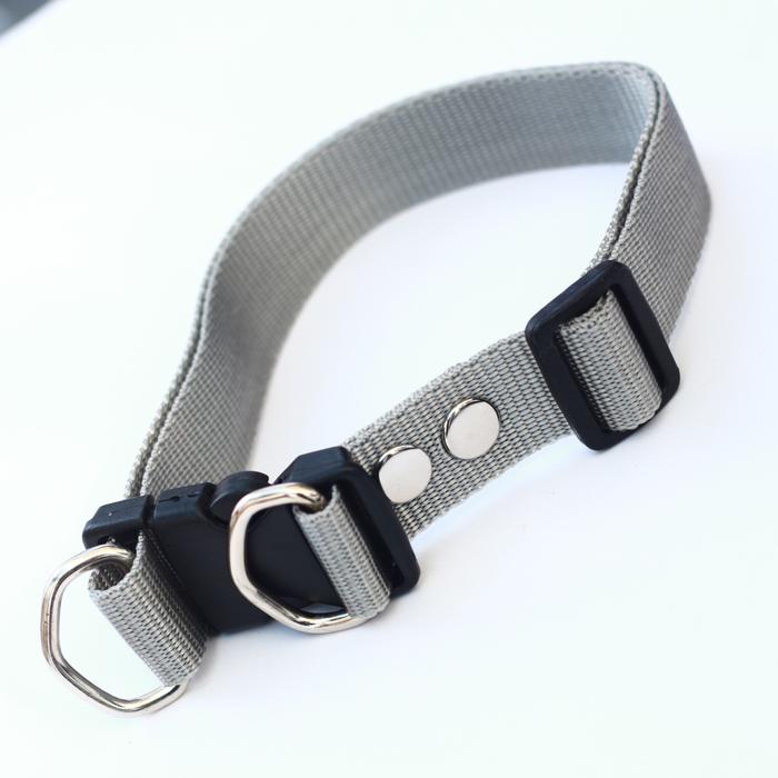 Gambar Kalung collar anjing hewan 2,5 cm anjing kambing - Abu-abu dari alat kerajinan undefined Tokopedia