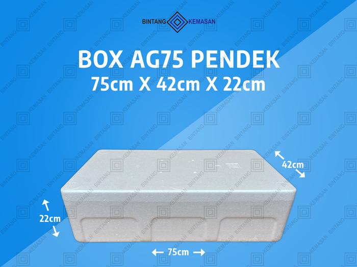 Gambar Box Styrofoam Besar Box Sterofoam Besar Box Packing BARU - AG75 PENDEK dari Bintang Kemasan Foam undefined Tokopedia