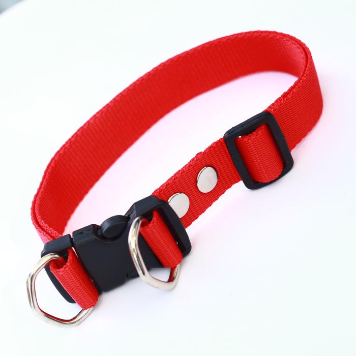 Gambar Kalung collar anjing hewan 2,5 cm anjing kambing - Merah dari alat kerajinan undefined Tokopedia