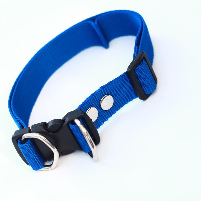 Gambar Kalung collar anjing hewan 2,5 cm anjing kambing - Biru dari alat kerajinan undefined Tokopedia