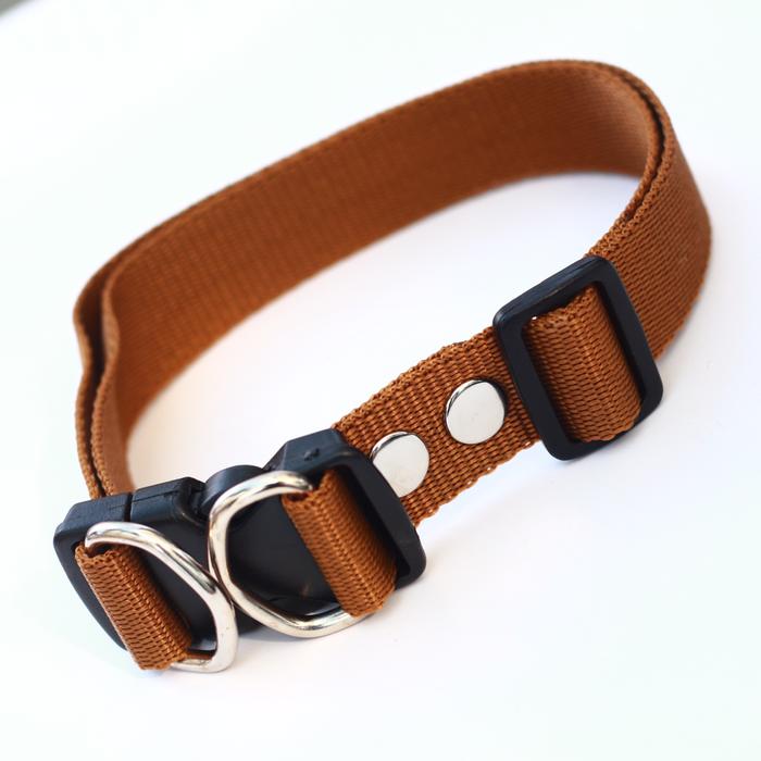 Gambar Kalung collar anjing hewan 2,5 cm anjing kambing - Camel dari alat kerajinan undefined Tokopedia