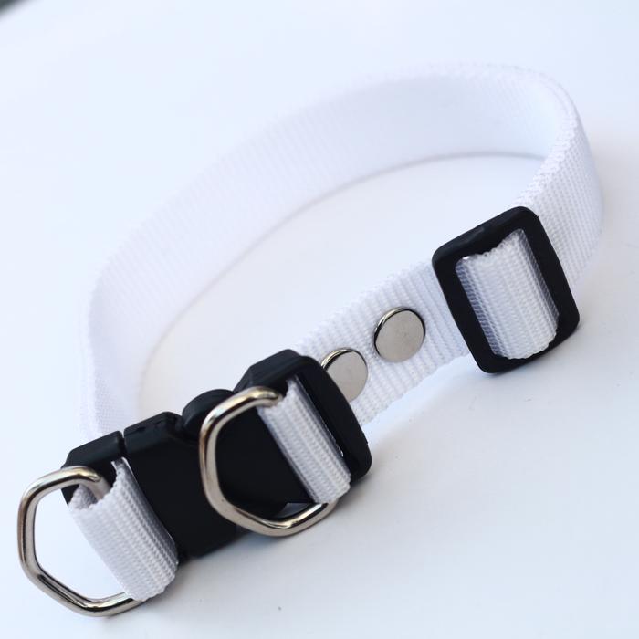 Gambar Kalung collar anjing hewan 2,5 cm anjing kambing - Putih dari alat kerajinan undefined Tokopedia