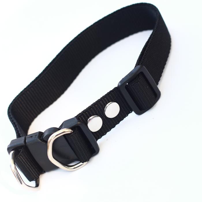 Gambar Kalung collar anjing hewan 2,5 cm anjing kambing - Hitam dari alat kerajinan undefined Tokopedia