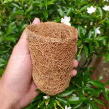 Gambar Pot Bunga Anggrek Sabut Kelapa Tempel Dinding Serabut Kelapa Kerucut - Pot gelas dari JURAGAN PERTANIAN undefined Tokopedia