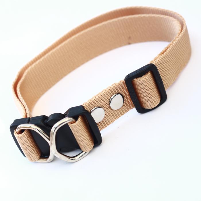 Gambar Kalung collar anjing hewan 2,5 cm anjing kambing - Krem dari alat kerajinan undefined Tokopedia