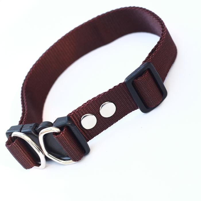 Gambar Kalung collar anjing hewan 2,5 cm anjing kambing - Cokelat dari alat kerajinan undefined Tokopedia