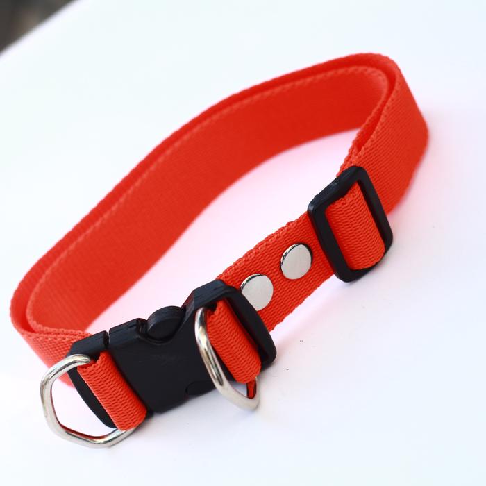 Gambar Kalung collar anjing hewan 2,5 cm anjing kambing - Orange dari alat kerajinan undefined Tokopedia