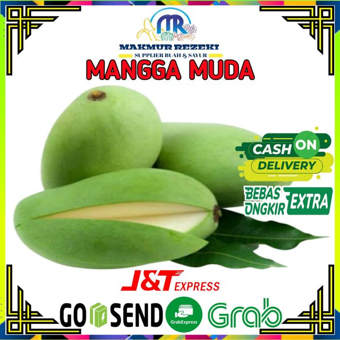 Gambar BUAH MANGGA MUDA RUJAK MANGGA PETIS SEGAR MURAH 1 KG - 500 GRAM dari SAYUR BY MAKMUR REZEKI undefined Tokopedia