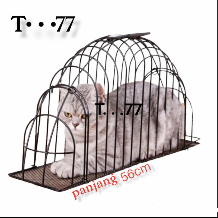 Gambar kandang grooming kucing dari tanisa77 undefined Tokopedia