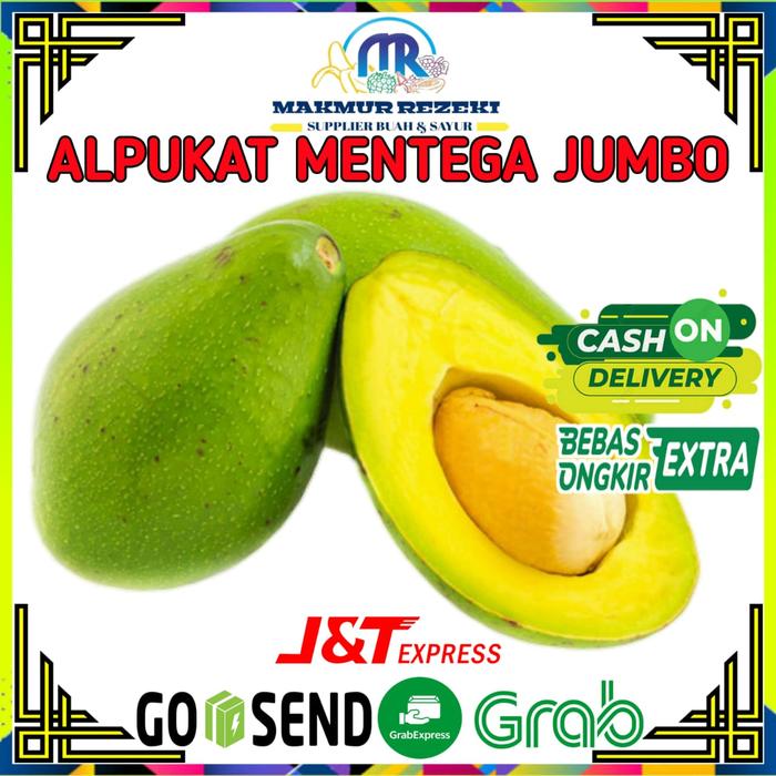 Gambar BUAH ALPUKAT MENTEGA JUMBO ALIGATOR BESAR MURAH SEKILO ISI 2-3 PCS 1KG - 1KG dari SAYUR BY MAKMUR REZEKI undefined Tokopedia