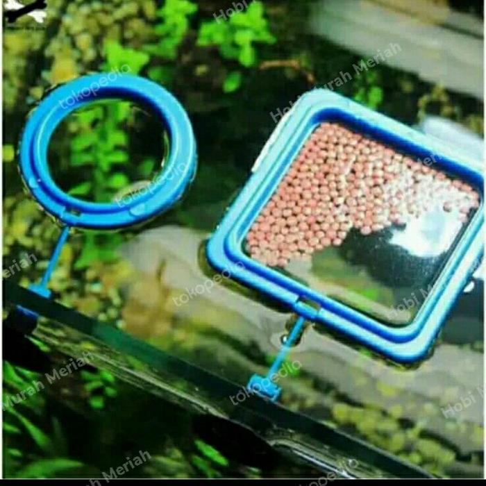 Gambar WYIN ZRDR Feeding Ring Kotak Bulat Floating Tempat Pakan Akuarium Ikan dari Hobi Murah Meriah undefined Tokopedia
