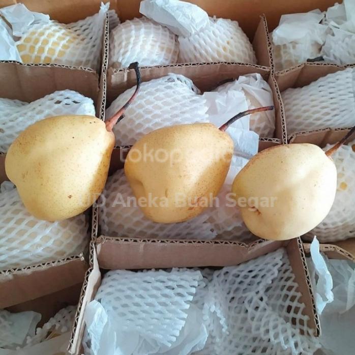 Gambar Buah Pear Pir Yalie Fresh / 1 Dus / 15kg dari UD Aneka Buah Segar undefined Tokopedia