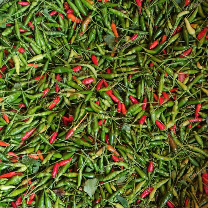 Gambar lombok cabe merica kecil hijau - 1/2 kg dari Enka Online undefined Tokopedia