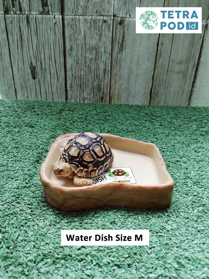 Gambar Water Dish Reptile Crystalee - M dari Tetrapod undefined Tokopedia