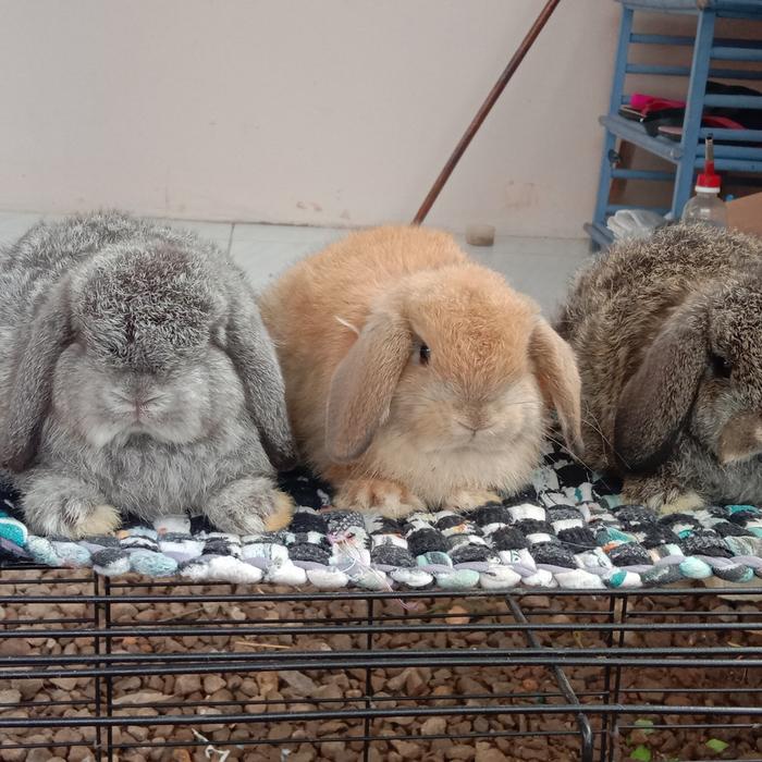 Perawatan Intensif Setelah Kelahiran