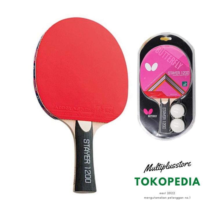 Image of Stayer website