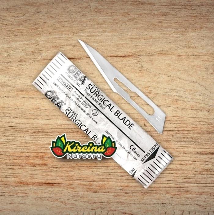 Gambar Pisau Bedah Steril untuk Cutting Aglaonema - Mata Pisau 10pc dari ABC Garden undefined Tokopedia