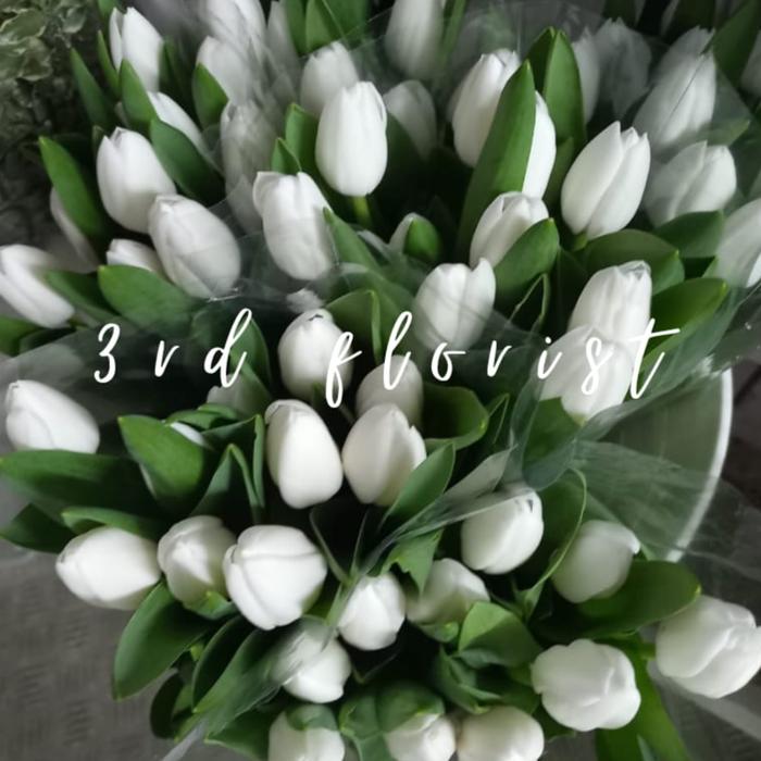 Gambar Bunga Tulip Import Segar (Bunga Segar Jakarta) - Putih dari 3rd florist undefined Tokopedia