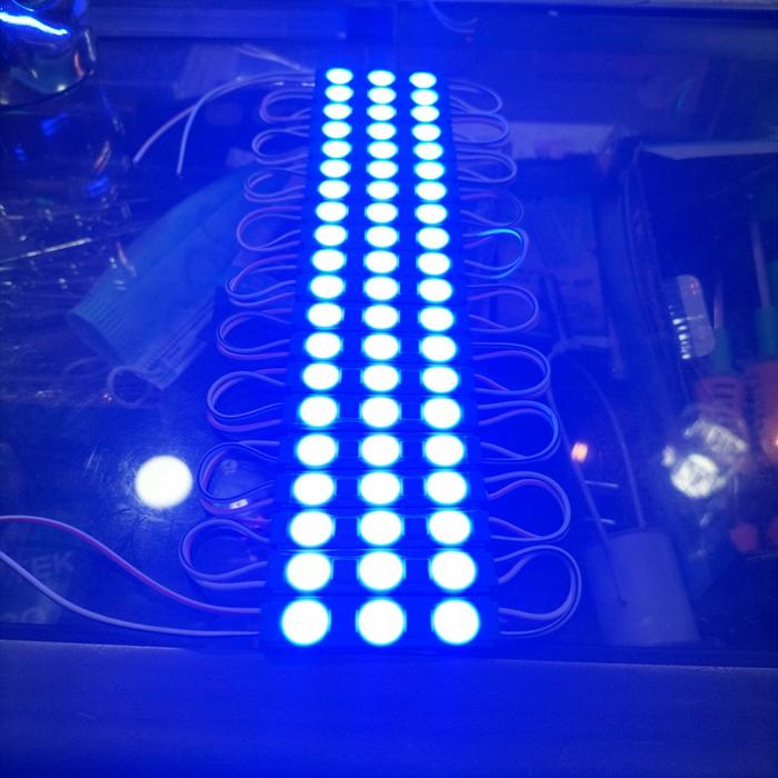 Gambar lampu LED modul,lampu reklame,lampu neon box,Samsung 1.2 W DC 12 V - BLUE dari led modul 3 undefined Tokopedia