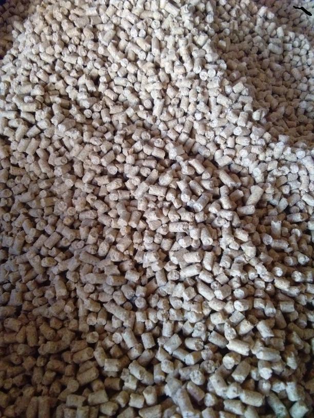 Gambar PAKAN AYAM MURAH - 500GR - 511 - 594 - PP2P - HUUT - 551 dari Dieznie warung sato undefined Tokopedia