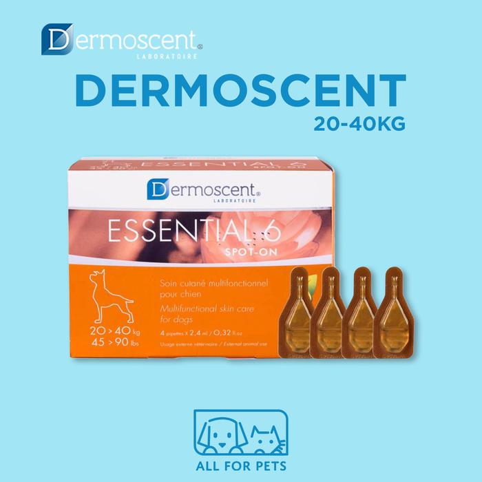Gambar Dermoscent Essential 6 Spot-On Skin Care Dog 20-40kg PER BOX dari AllForPets undefined Tokopedia