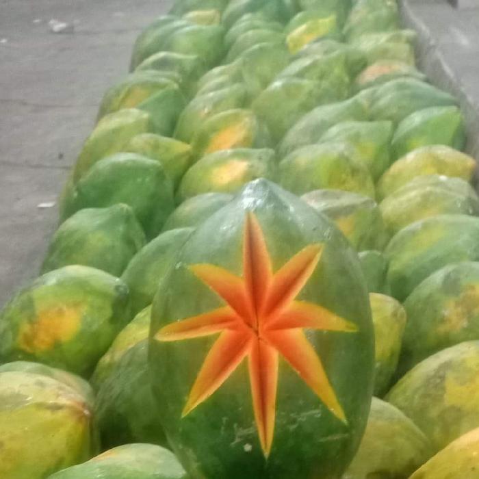 Gambar pepaya bangkok kediri manis segar dari Rizik buah buahan segar undefined Tokopedia