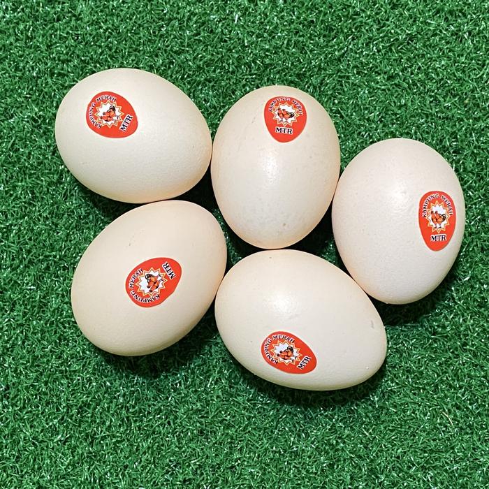 Gambar Telur Ayam Kampung Merah, Telor Omega 3, Premium, Harga Per-Butir dari Telur Mba Nana undefined Tokopedia