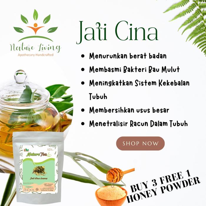 Gambar Teh Herbal 100% Organic 30 tea bag - Nature Tea by Nature Living - Jati Cina dari AnHao undefined Tokopedia