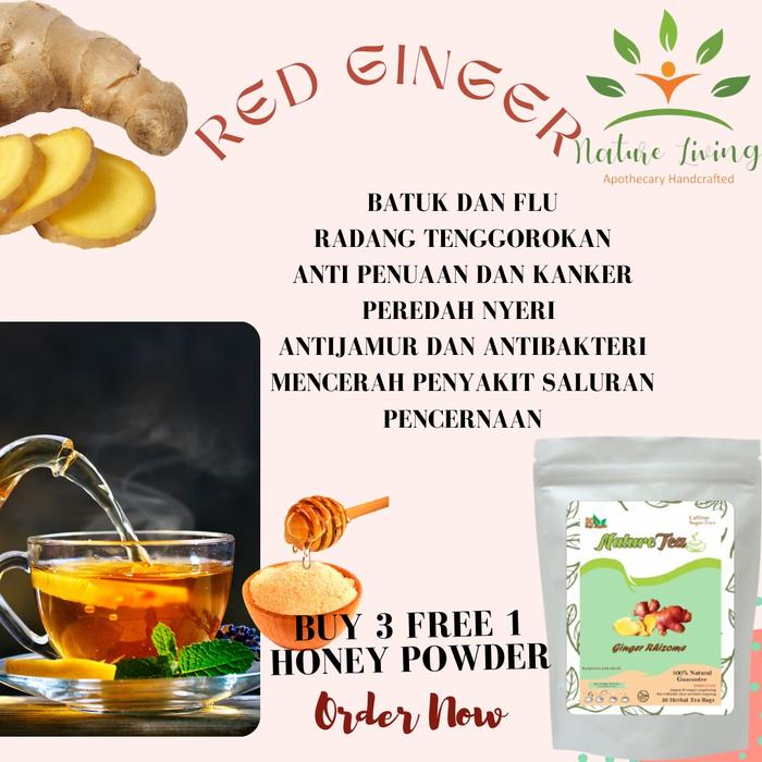 Gambar Teh Herbal 100% Organic 30 tea bag - Nature Tea by Nature Living - Jahe Merah dari AnHao undefined Tokopedia