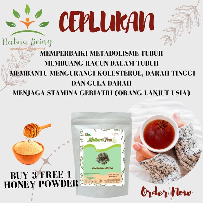 Gambar Teh Herbal 100% Organic 30 tea bag - Nature Tea by Nature Living - Ciplukan dari AnHao undefined Tokopedia