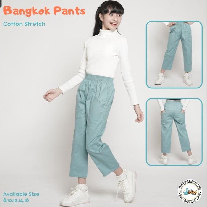 Gambar 6-13T CELANA BANGKOK ANAK LAKILAKI PEREMPUAN LITTLE DINO - Wardah, Size 8 dari ALIFA.KIDSTORE undefined Tokopedia