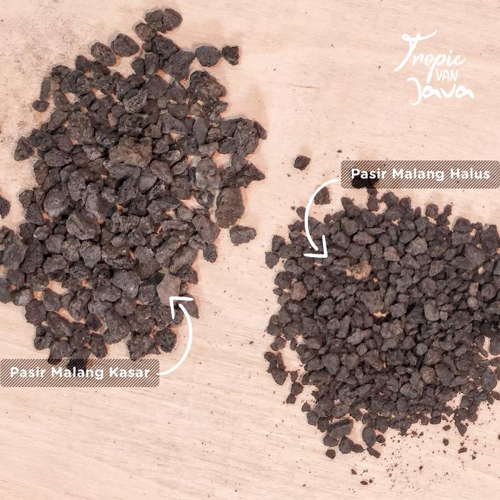 Gambar Media Tanam Hidroponik Pasir Malang Kasar Aquascape 1 kg - kasar dari TropicVanJava undefined Tokopedia