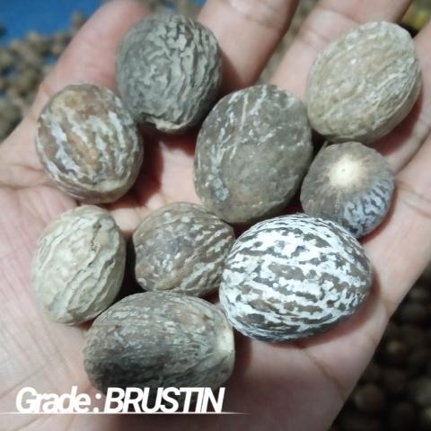 Gambar Biji pala kupas kering Tanpa cangkang 1 kg kualitas super - 1KG GRD-BRUSTIN dari astley undefined Tokopedia