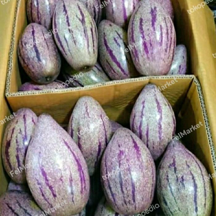 Gambar Buah pepino ungu super | 1 kg dari Felmarket undefined Tokopedia