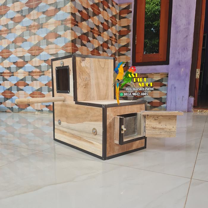 Gambar Glodok sunconure nuri full list penempatan kanan dari AST bird shop undefined Tokopedia
